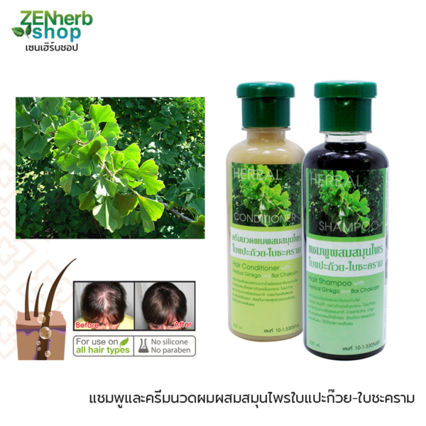 แชมพูใบแปะก๊วย 250มล. ษีฎา 1 แชมพูใบแปะก๊วยษีฎา