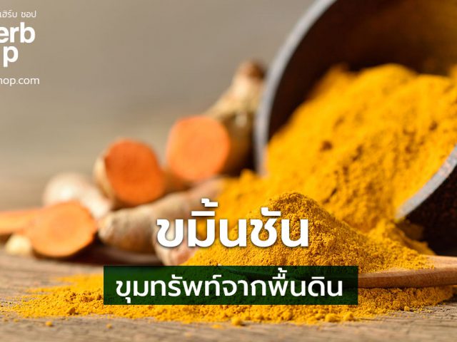 ขมิ้น สรรพคุณและโทษ
