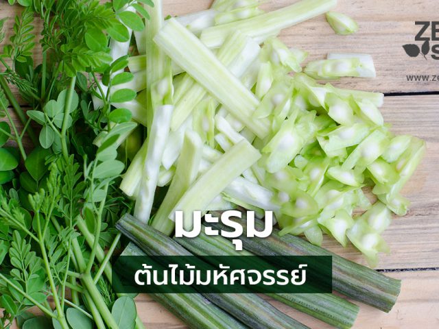 มะรุม