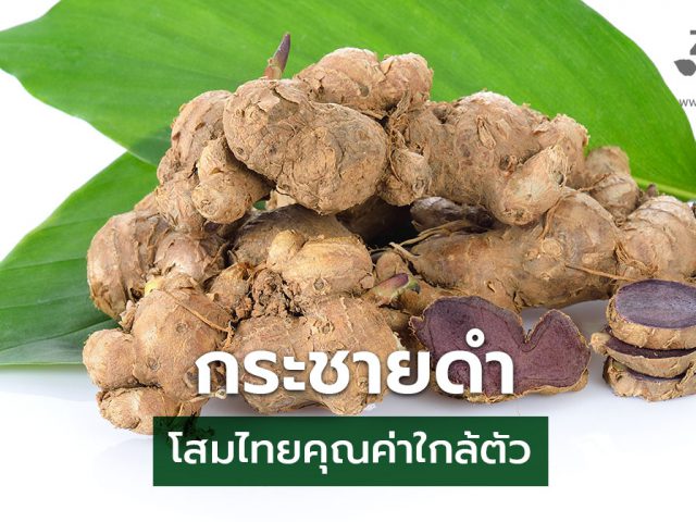 กระชายดำ
