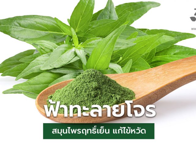 ฟ้าทะลายโจรสมุนไพร