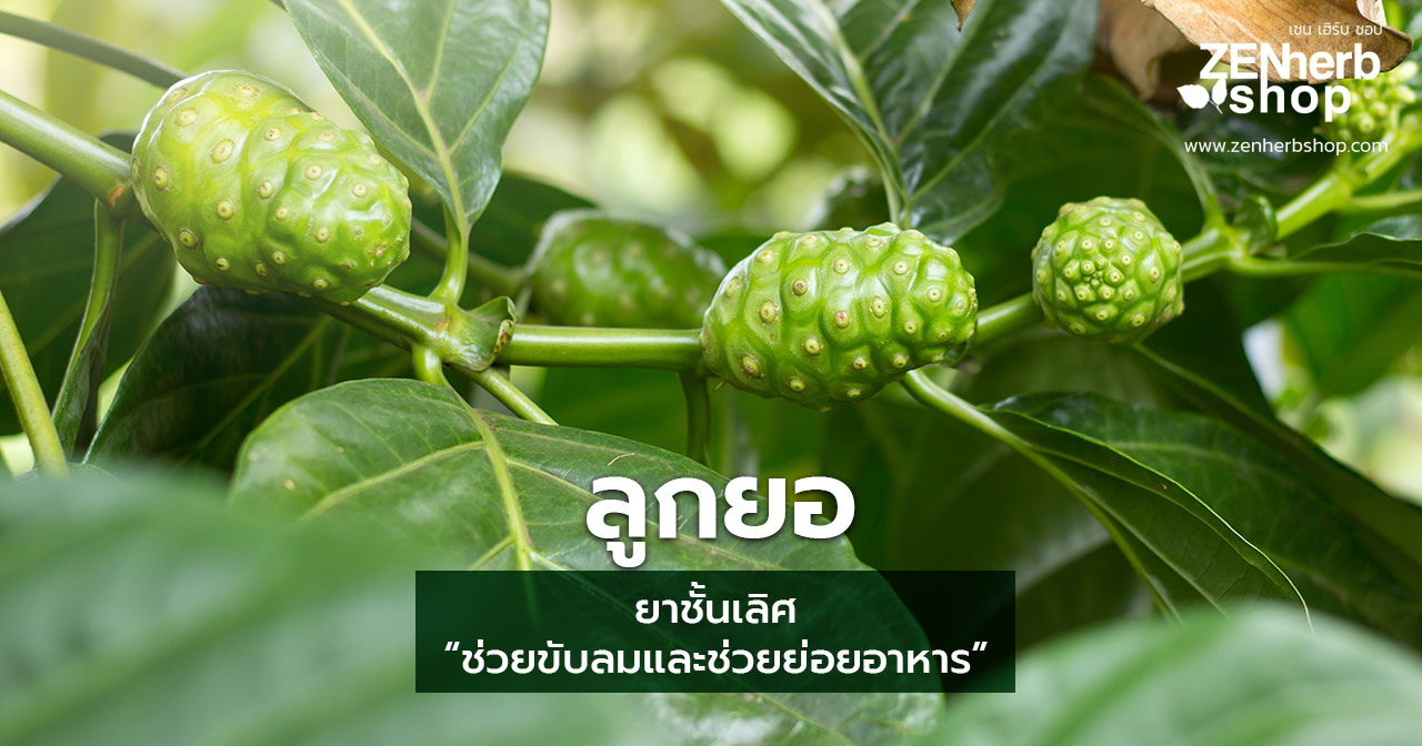 ลูกยอ
